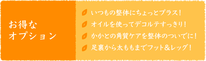 お得なオプション